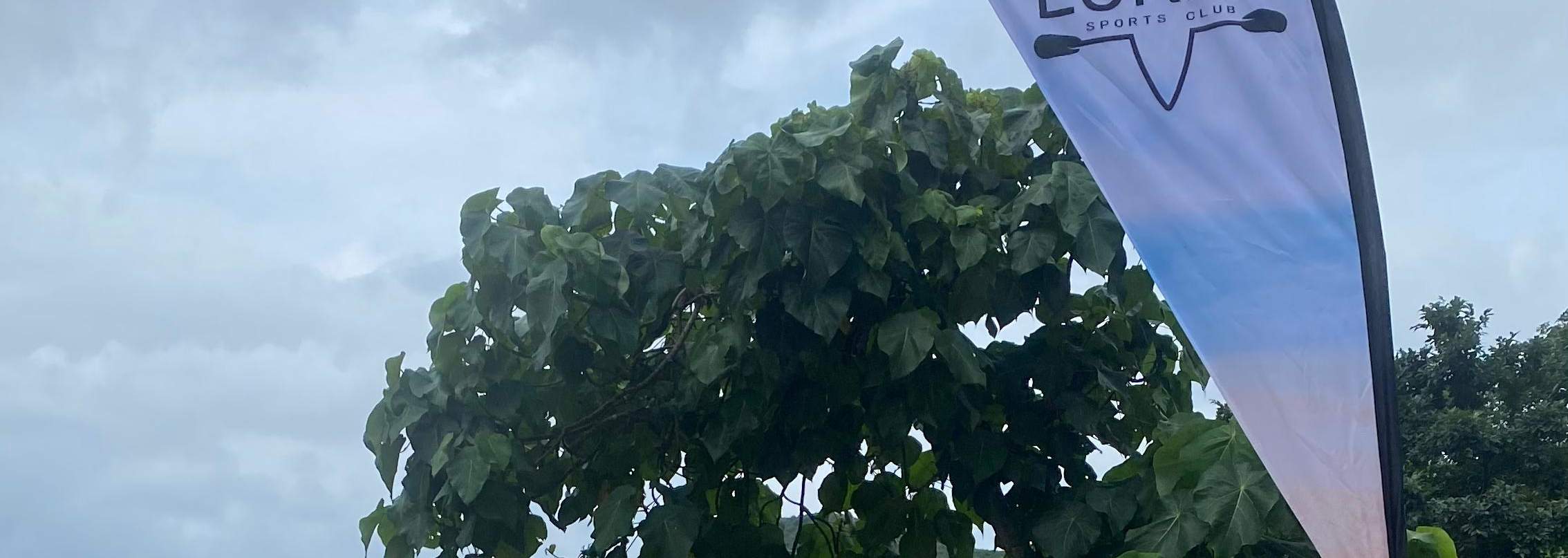 中心场地及器材